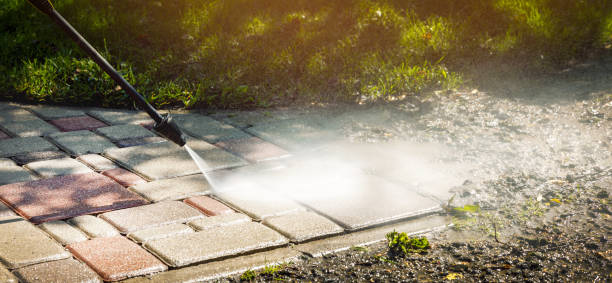 Best Solar Panel Cleaning  in Wilson, WY